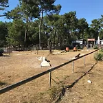 Mobil-home Club 5* Montalivet Кемпинг Ванде-Монталиве
